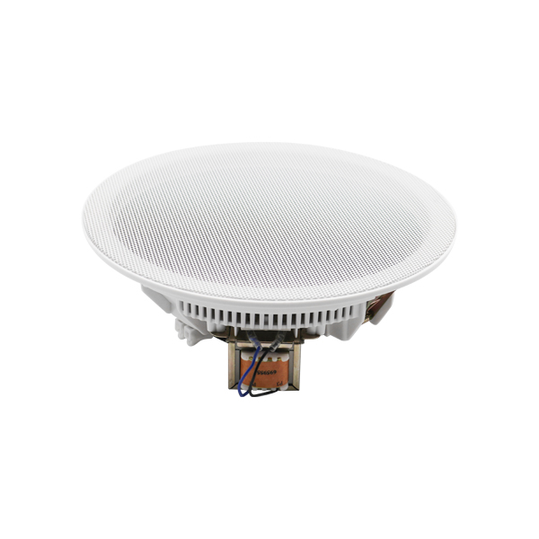 Ceiling Speaker
